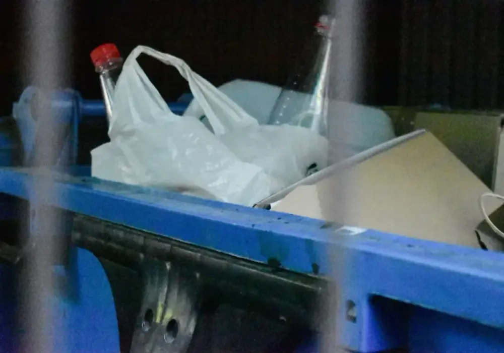 Recykling w Pszczynie: Jak uniknąć błędów w segregacji i gdzie oddać odpady?