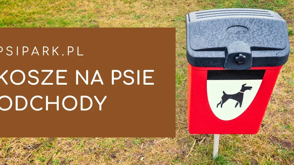 Gdzie wyrzucić psie odchody? Właściwe sposoby i unikaj błędów!