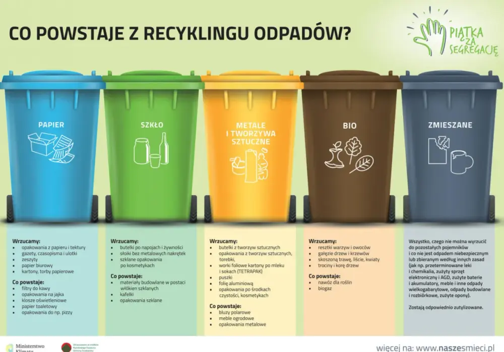 Dzień Recyklingu: jak możesz zmienić świat i uniknąć ekologicznych błędów