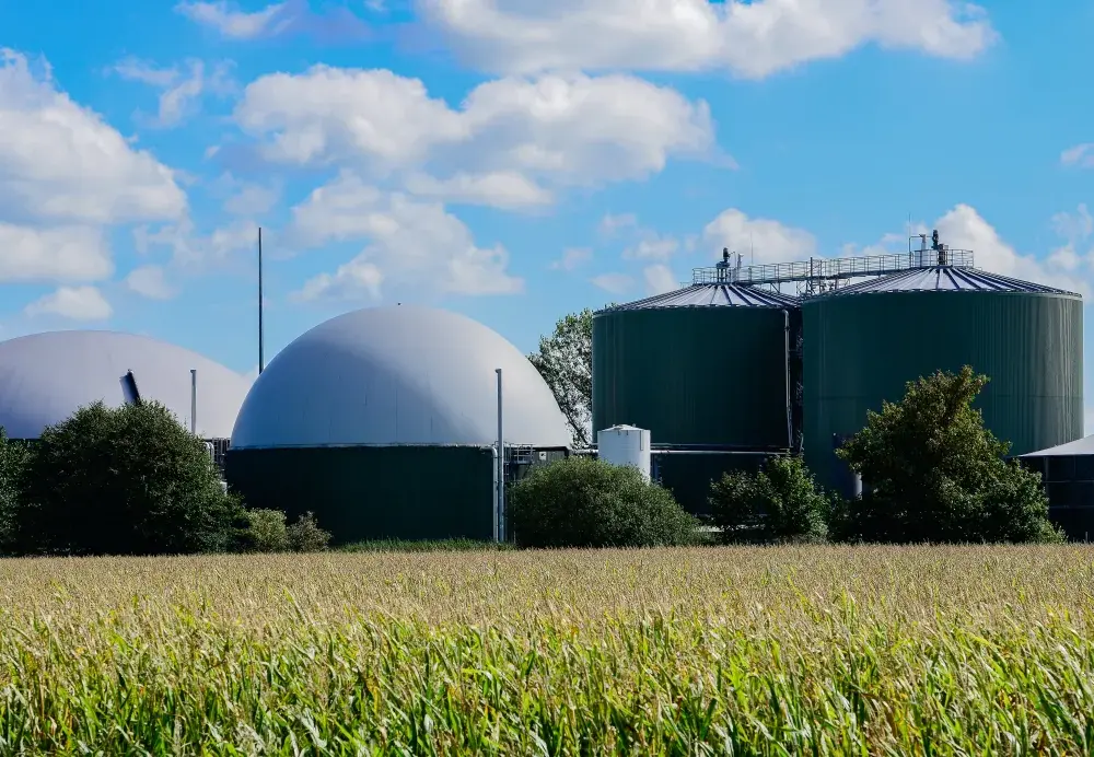 Biogazownie, które się opłacają, energia, która wraca