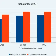 Ceny prądu dla firm i gospodarstw domowych w Polsce: prognoza na 2025 rok