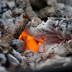 Gdzie wyrzucić popiół, aby nie zaszkodzić środowisku i sobie?