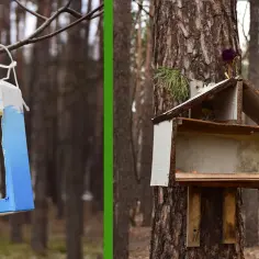 Jak łatwo zrobić karmnik dla ptaków z recyklingu w domu