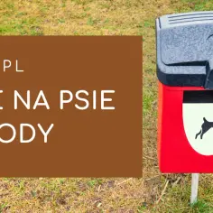 Gdzie wyrzucić psie odchody? Właściwe sposoby i unikaj błędów!