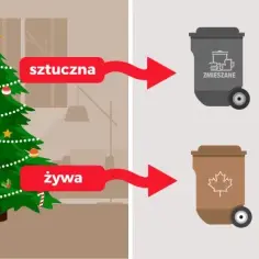 Gdzie wyrzucić choinkę po świętach, by pomóc środowisku i uniknąć problemów