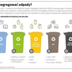 Jak prawidłowo segregować odpady według pojemników? Kompletny poradnik
