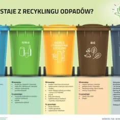 Dzień Recyklingu: jak możesz zmienić świat i uniknąć ekologicznych błędów