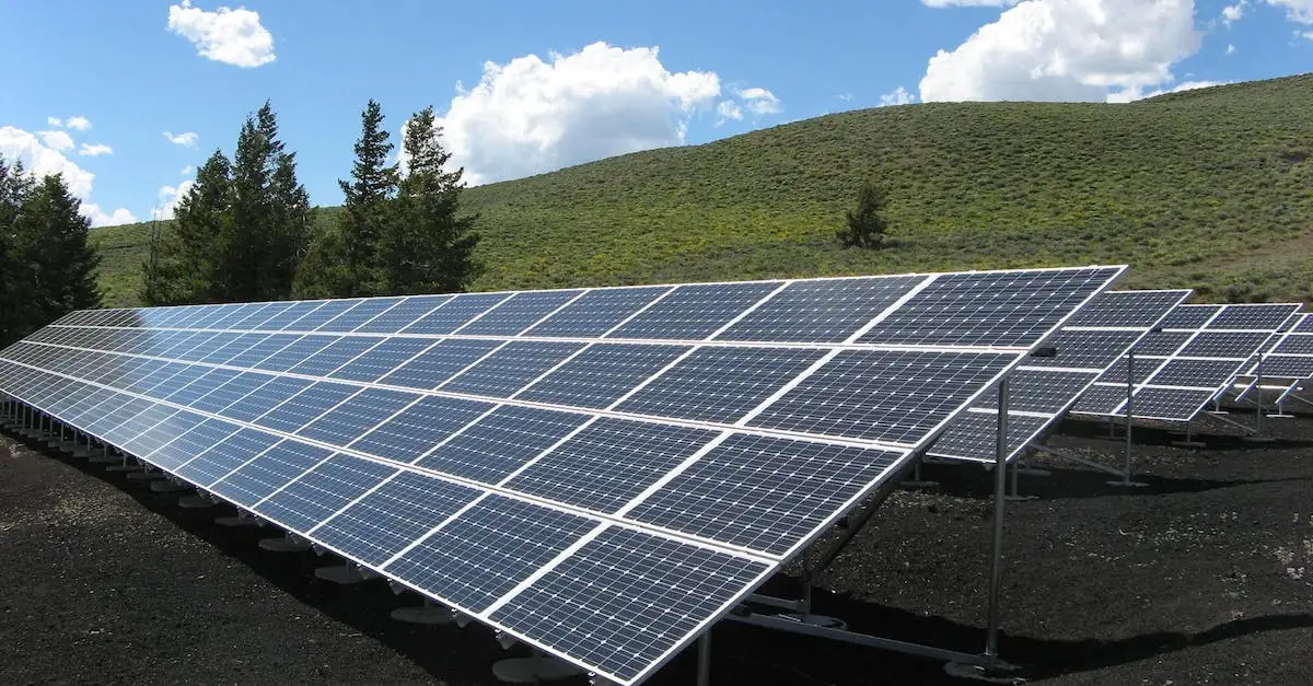 Dlaczego warto przejść na zieloną energię w 2023 roku?