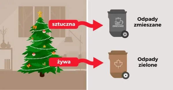Gdzie wyrzucić choinkę po świętach, by pomóc środowisku i uniknąć problemów