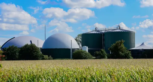 Biogazownie, które się opłacają, energia, która wraca